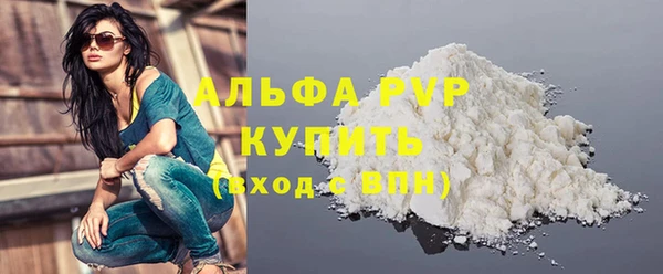 шишки Заводоуковск
